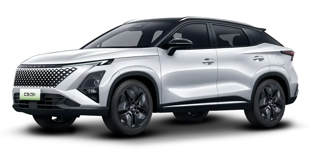 c5 csh white howlite two tone